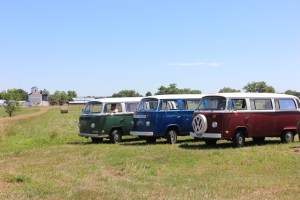 Copyright: W. Davison 2014